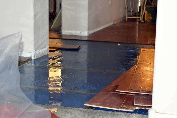 Professional Ceiling Water Damage Repair technician working in Kenosha, WI