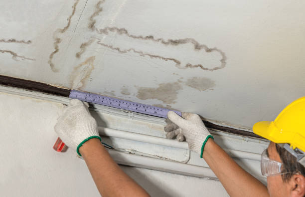 Reliable Ceiling Water Damage Repair contractor in Kenosha, WI by Hirex Water Damage